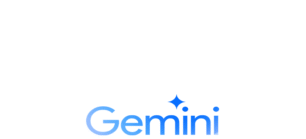 GEMINI INT